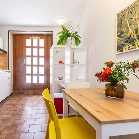 Studio Tamburini City Center Διαμέρισμα Ρόβινι Εξωτερικό φωτογραφία